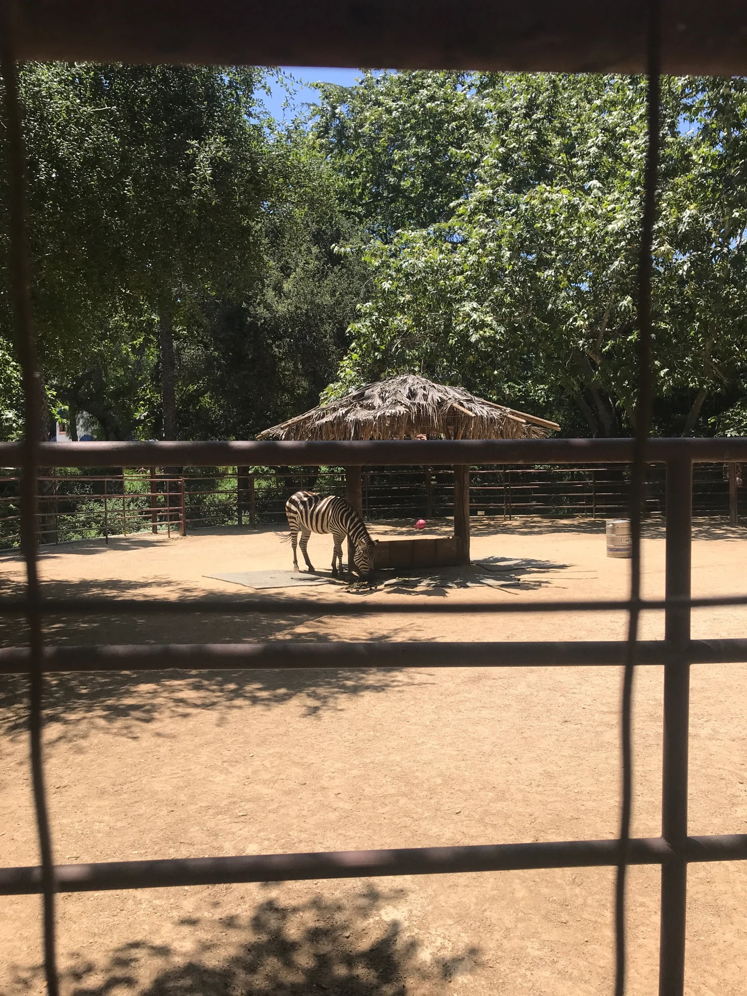 IMG_5136.jpeg